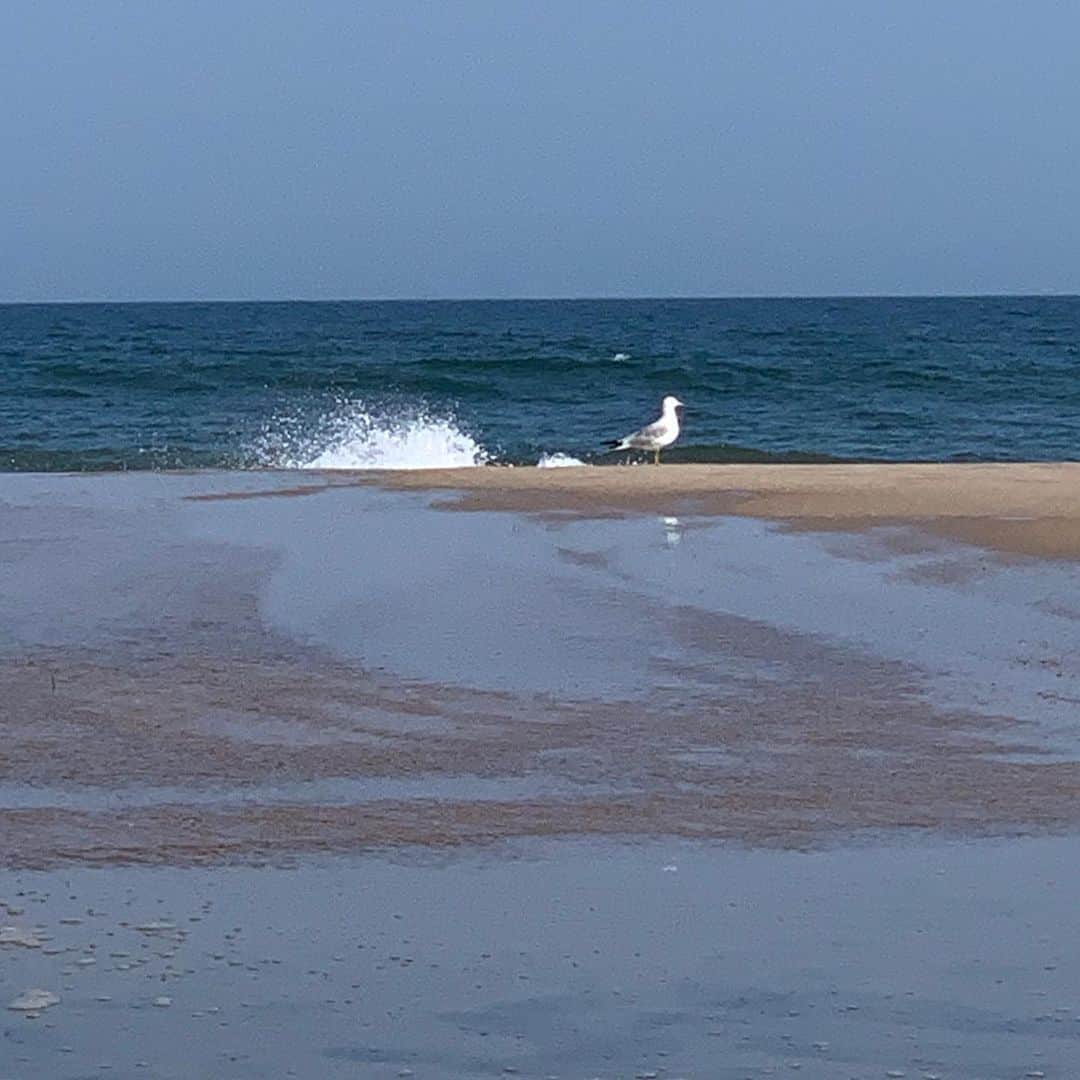 クリスティ・ブリンクリーさんのインスタグラム写真 - (クリスティ・ブリンクリーInstagram)「Hope your day is like a day at the beach no matter where you may be! 💙」7月31日 22時20分 - christiebrinkley
