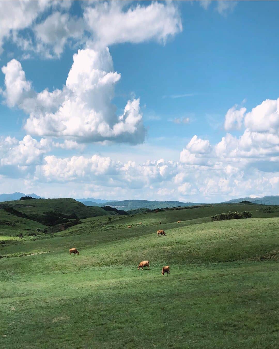 Koichiのインスタグラム：「. . Summer plateau . . Attachment lens by @tokyo_grapher ZD Wide Pro 18mm #TG_Wide Tele Lens 50mm #TG_Tele .」