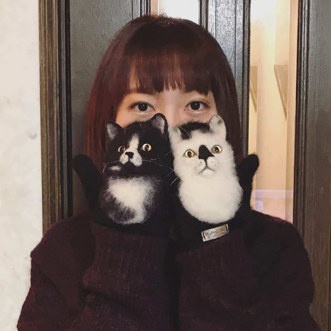 もじゃころさんのインスタグラム写真 - (もじゃころInstagram)「半袖に手袋だとヤバみ出すぎるので、ニット着てミトン装着してみました！！！ うおー！！かわいい😍😍😍 早く冬になってくれ！！！ とっても暑苦しくてすいませんw  #猫グッズ #猫モチーフ #手袋 #ミトン #mitten #варежка #鼻菱おにぎり丸 #鼻にんにく黒コロ #uniqlou」7月31日 22時34分 - mojyacoro96