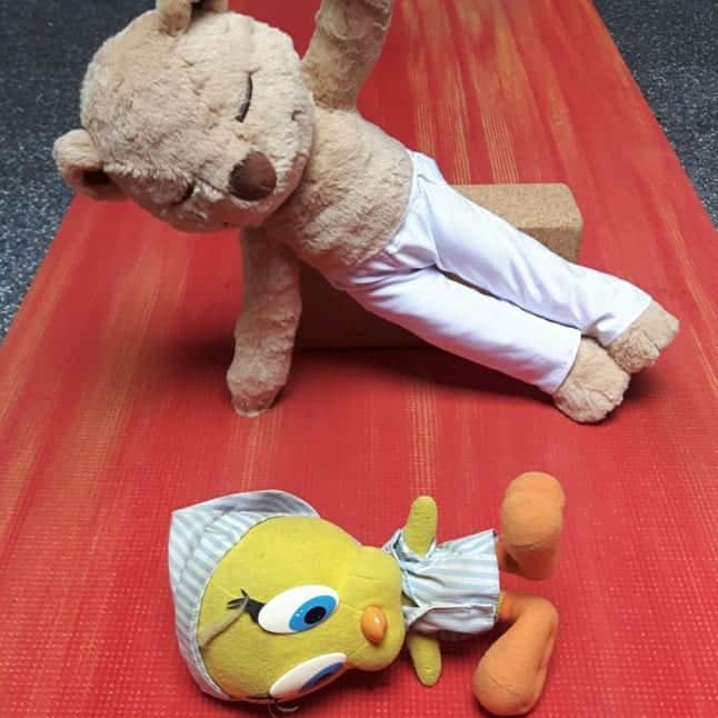 Little Yellow Birdさんのインスタグラム写真 - (Little Yellow BirdInstagram)「I have a new teacher - and friend! - to help me with my yoga skills. I seem to be a bit on the stiff side...we even tried some acro yoga!! ➡➡ #littleyellowbird #tweety  #tweetykweelapis #adventures #yellow #bird #yoga #meddyteddy #practice #teacher #sideplank #forwardfold #acroyoga #newfriend #stuffedanimalsofinstagram #plushiesofinstagram」7月31日 22時43分 - tweetykweelapis