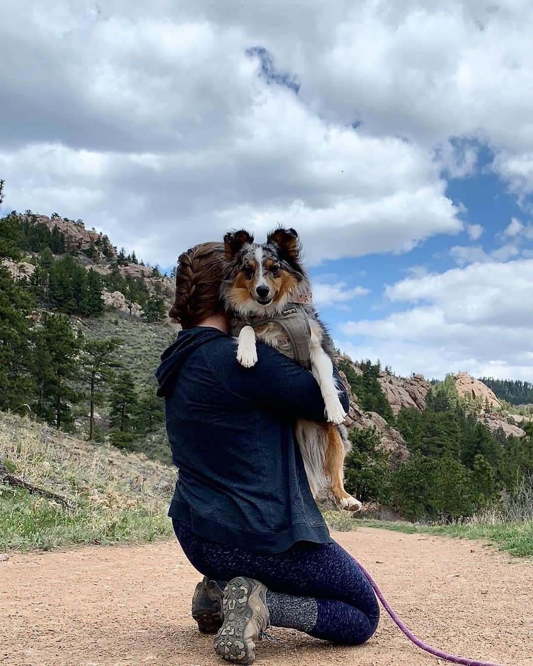 REIさんのインスタグラム写真 - (REIInstagram)「"Yes hooman, carry me to the summit! 🐾" // @emiliaanataliaa in Fort Collins, #Colorado. #OptOutside」7月31日 23時00分 - rei