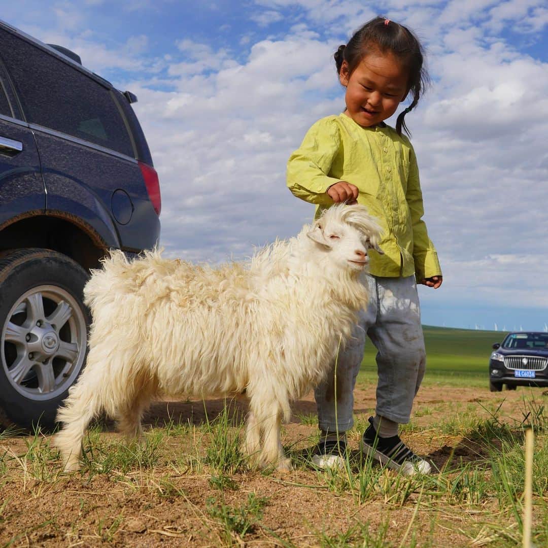 Michael Yamashitaさんのインスタグラム写真 - (Michael YamashitaInstagram)「A Mongolian boy and his lamb: Three-year-old Adiya spends much of his time with sheep, horse and dogs as his companions, as his nomad family lives far from the nearest neighbor. You might be thinking that Adiya looks like a little girl with his pigtails, but in the Mongolian tradition, he won’t receive his first hair cut for a few more years. The Mongolian haircutting ceremony happens between the ages of 2-6, and symbolizes the end of "babyhood" and the transition to "childhood.” #innermongolia #mongolian #lamb」8月1日 4時55分 - yamashitaphoto