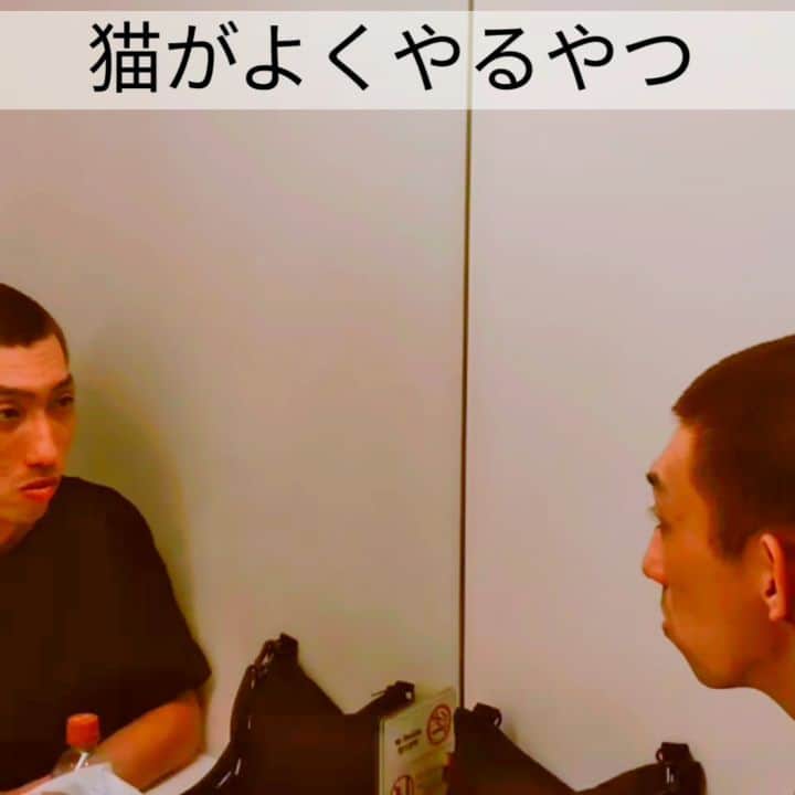 たいゆうきのインスタグラム：「秒でものまね 「猫がよくやるやつ」  #秒でものまね  #猫 #よくやる #鏡 #タッチ #ペット #犬 もやる #cat  #pet #あるある」