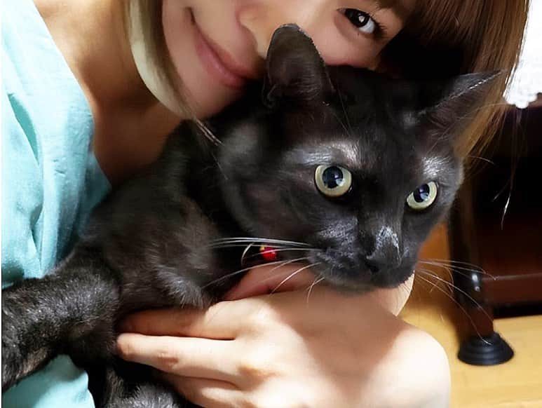 内村麻美さんのインスタグラム写真 - (内村麻美Instagram)「最近の にゃん。 . #猫  #天使  #神  #癒し  #もふもふ #最後は  #内村家のみゅうさん  #他は猫カフェにゃんさん」7月31日 23時55分 - asami___05