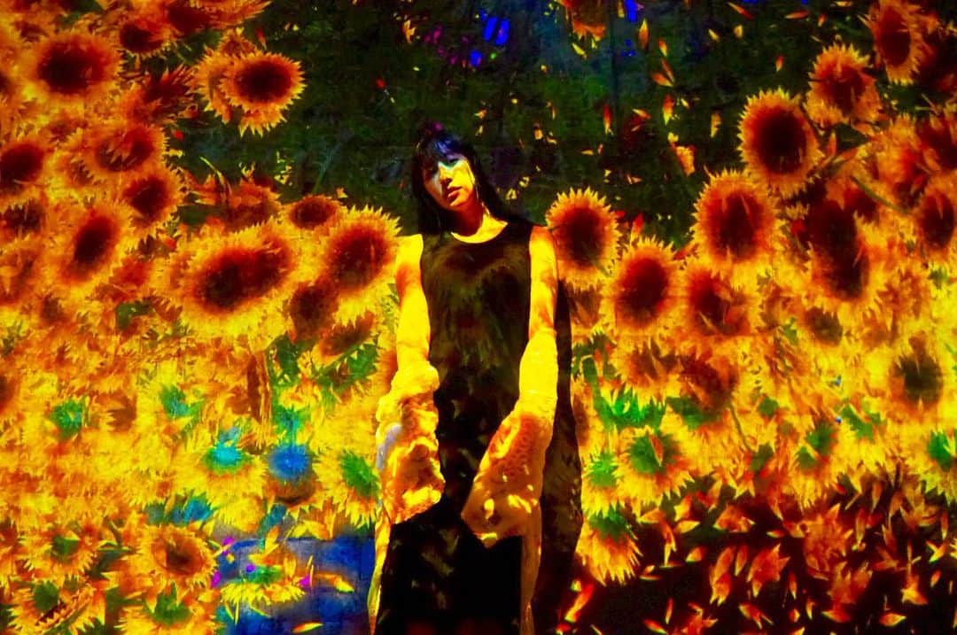 玉置成実さんのインスタグラム写真 - (玉置成実Instagram)「Hello August🌻  #summer #sunflower」8月1日 0時00分 - nm_tmk