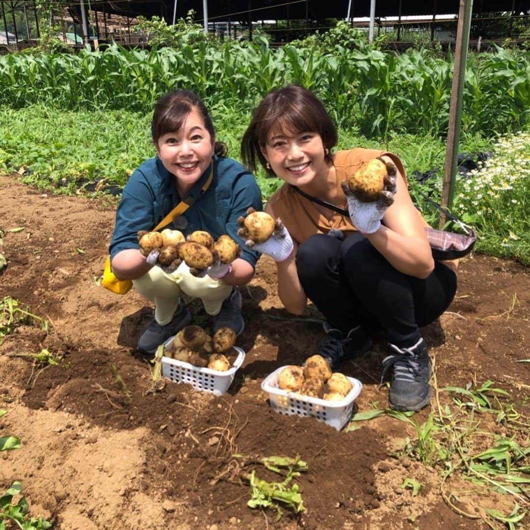 竹岡圭さんのインスタグラム写真 - (竹岡圭Instagram)「7月29日のなかなか日本！〜高速道路女子旅〜は、オラッチェへ🤗 ジャガイモ掘り、動物とのふれあい、アイスクリーム作り🍨と、盛りだくさん😋 CMに出てきそうなモデル顔の牛さん「ソラくん」🐂も大人気ですー😉 自分で作ったアイスクリームは、かなり美味しかったですよー😍アイスクリームメーカー買おうかなぁーなんて、ちょっと考えてみたりしてー😆tvk毎週月曜日20時55分〜（tvk映らない方もhttp://www.tvk-yokohama.com/naka_jpn/本編動画ONAIR翌日以降見られます）」8月1日 0時14分 - kei_takeoka