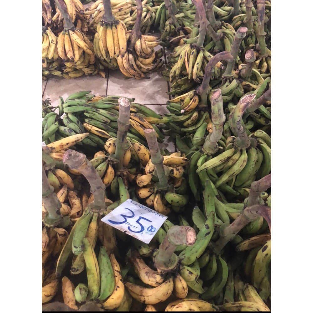 クレメンツリベイロさんのインスタグラム写真 - (クレメンツリベイロInstagram)「#manaus First time in the capital of the Amazon 👁👁 #portodemanaus ✔️ #fishmarket ✔️ #piranha ✔️ #pirarucu ✔️ #fruitmarket ✔️ #pontanegrabeach ✔️ #teatroamazonas ✔️」8月1日 0時54分 - clementsribeiro