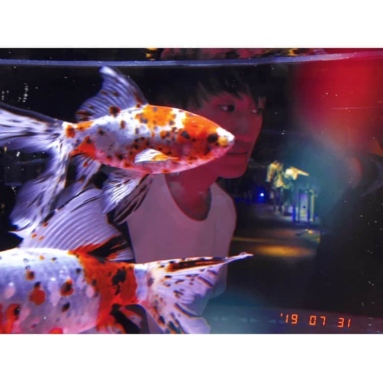 西本銀二郎さんのインスタグラム写真 - (西本銀二郎Instagram)「． たまには水族館という休日もありですね。  魚になった気分です。という写真。  みなさん、好きな水の生き物は何ですか？  僕はアザラシです。なんか落ち着きます。  #supreme」8月1日 1時31分 - ginjiro.nishimoto.official