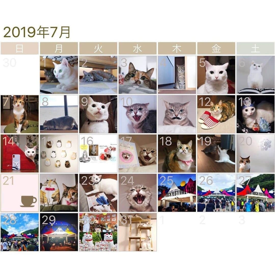 marikill66さんのインスタグラム写真 - (marikill66Instagram)「7️⃣🗓🐱🐱🐱🎸🎷🎤🎶 * #2019年7月 #インスタカレンダー #cat #catstagram #catsofinstagram #catoftheday #instacat #vsco #marikill66 #marikill66_2019 #marikill66_07」8月1日 1時47分 - marikill66