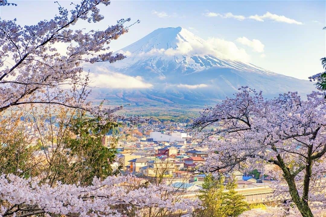 Lonely Planetさんのインスタグラム写真 - (Lonely PlanetInstagram)「Did you know that Japan has an up-and-coming wine region? The koshu varietal grape is grown on the slopes north of Mt. Fuji in one of the most scenic areas of Japan. To find out what the buzz is all about tap our bio link.」8月1日 2時21分 - lonelyplanet