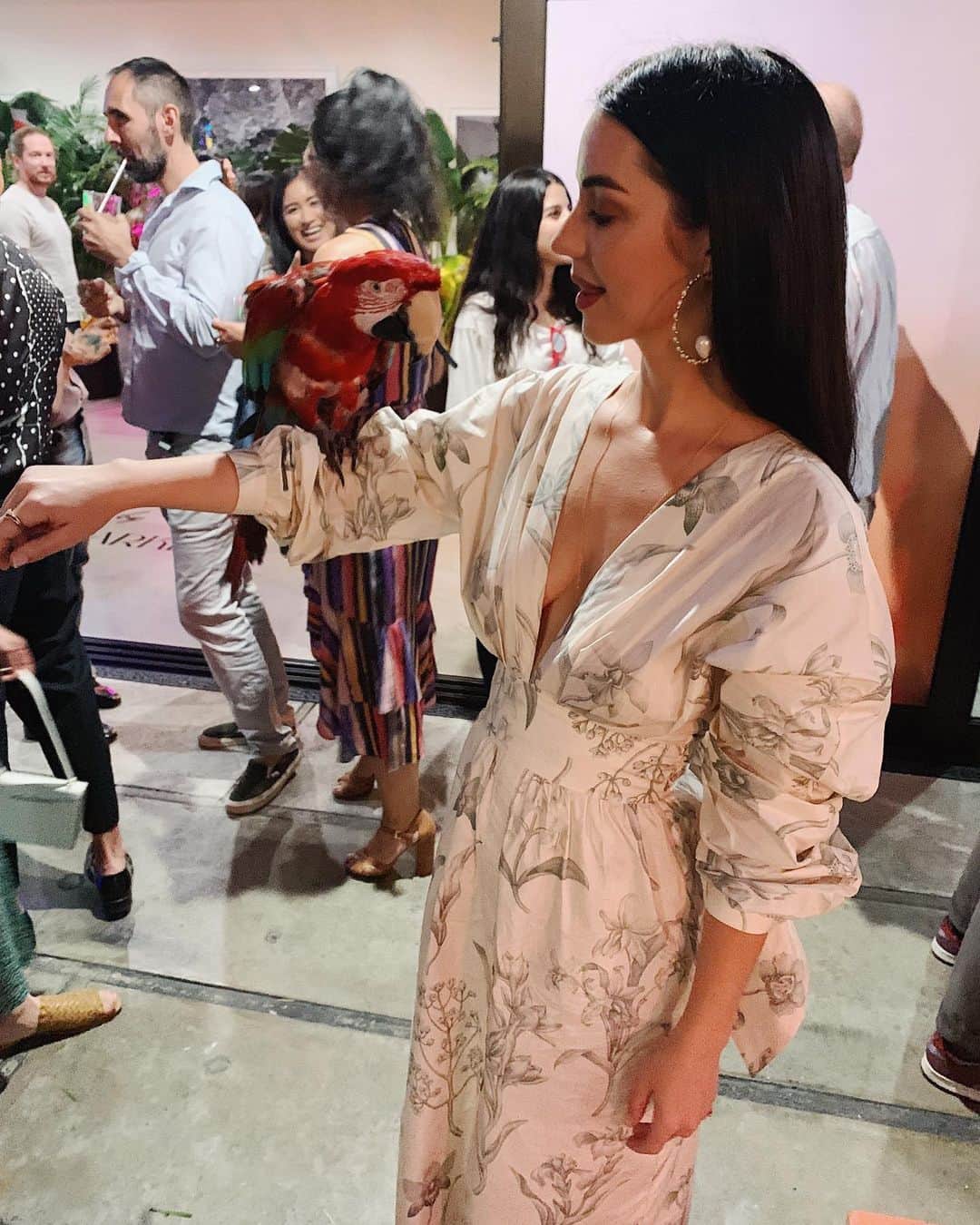 アデレード・ケインのインスタグラム：「Making friends w @edieparkerflower @edie_parker 🦜」