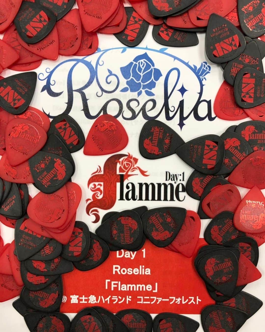 のインスタグラム：「もうすぐ会えるね🌹 #バンドリ #ガルパ #凄いぞRoselia #Roselia #Flamme #Wasser #富士急ハイランド  #週末晴れてください」