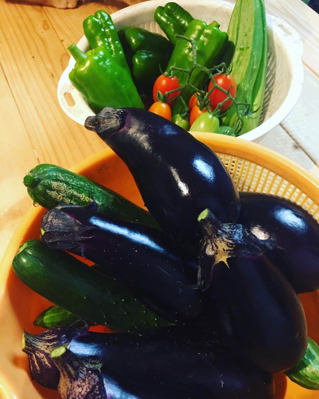 久保田夏菜さんのインスタグラム写真 - (久保田夏菜Instagram)「我が家の畑のもりもり野菜。 ちゃんとお世話してもらえないながらも 頑張って育ってくれてます。  採れたてで食べられる幸せ、 かみしめてます。  みなさま、きょうもあつーい1日。 熱中症にお気をつけくださいね。  #八千代町 #自家栽培 #夏野菜 #感謝」8月1日 12時36分 - kanakubota0805