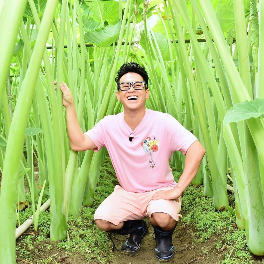 日本テレビ「満天☆青空レストラン」のインスタグラム