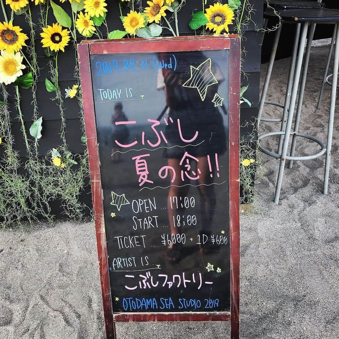 前野えまさんのインスタグラム写真 - (前野えまInstagram)「こぶしファクトリーさんのライブ 「こぶし 夏の念」に行ってきました！ 最高に楽しかった！！ 来年も絶対に行きます！！ #こぶしファクトリー #kobushi_factory #kobushi #音霊 #音霊2019 #ハロプロ #こぶし組 #こぶし組最強 #三浦海岸 #ライブ #ライブ参戦 #前野えま」8月1日 6時47分 - maeno_ema