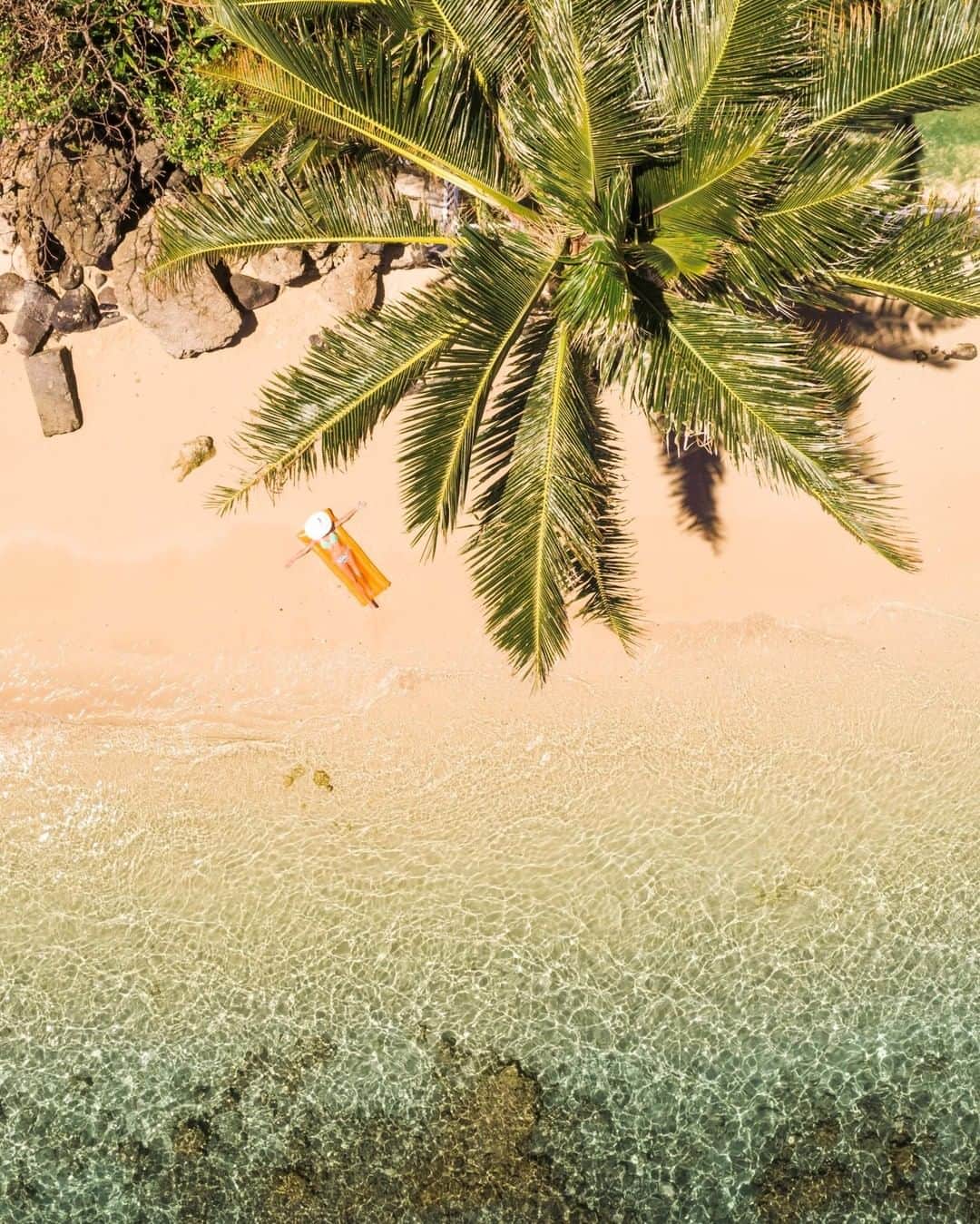 ハワイアン航空さんのインスタグラム写真 - (ハワイアン航空Instagram)「いよいよ8月に突入！ 猛暑に気をつけて、水分補給を心がけてくださいね😎 📷 @711rainbows ⠀⠀⠀⠀⠀⠀⠀⠀ . #ハワイ旅行 #ハワイ」8月1日 8時00分 - hawaiianairlinesjp