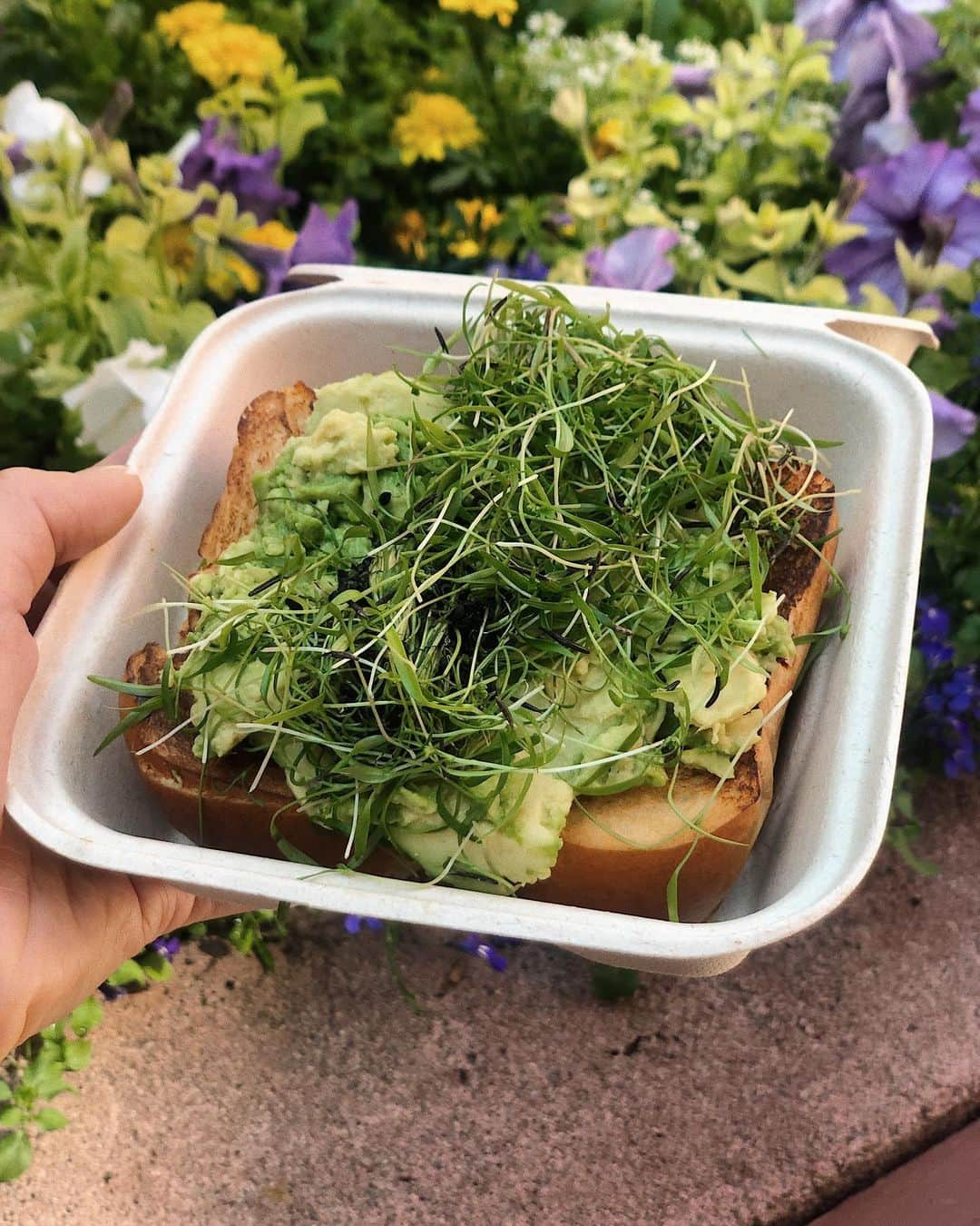 翁安芸さんのインスタグラム写真 - (翁安芸Instagram)「Avocado on a toast🥑🍞💛 #localcoffee #aspen #アボカド #トースト #アスペン」8月1日 8時16分 - akinyc