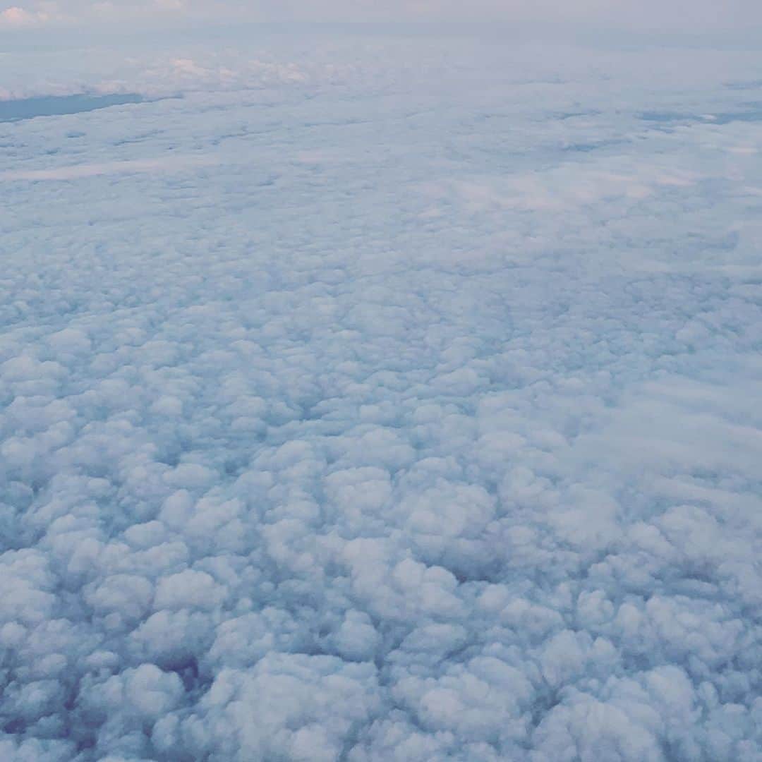 紺野千春のインスタグラム