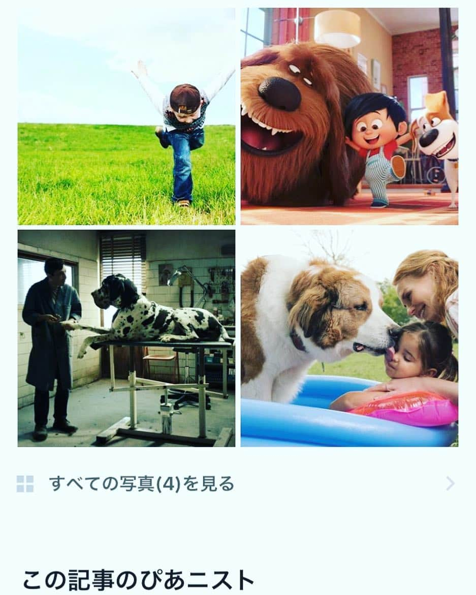 伊藤さとりさんのインスタグラム写真 - (伊藤さとりInstagram)「「面白い映画がこんなにあるんだ！」 と知ってほしくて始めた ぴあアプリで連載中の 「映画パーソナリティ伊藤さとりの心理テストで今のあなたがまる分かり」毎月1日更新  今回の心理テストページでの コラムでは ドッグセラピーをご紹介。 この夏は犬映画が元気！ 「ペット2」「ドッグマン」 「僕のワンダフル・ジャーニー」 と映画公開が続きます。  https://lp.p.pia.jp/shared/cnt-s/cnt-s-11-02_2_d1404e67-57c2-4a3b-88c4-6766e75b4e88.html  #映画 #心理テスト #連載  #心理学 #コラム #ぴあアプリ  #伊藤さとり #映画レビュー  #映画と心理 #ペット2  #ドッグマン #僕のワンダフルジャーニー  #犬好きな人と繋がりたい  #映画好きな人と繋がりたい  #おすすめ映画 #傑作 #洋画 #シネマ」8月1日 9時00分 - ito_satori