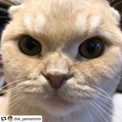 相馬有紀実のインスタグラム