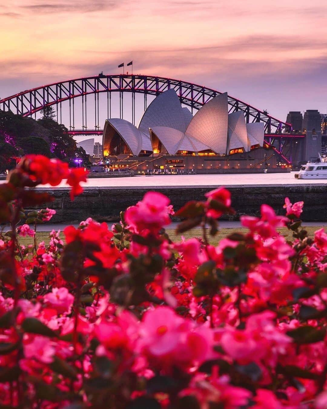 PicLab™ Sayingsさんのインスタグラム写真 - (PicLab™ SayingsInstagram)「Some of our favorite shots of the Sydney Opera House - one of the most distinctive and unique buildings constructed in the 20th century. The Opera House hosts over 1,500 performances annually, attended by more than 1.2 million people each year. Which shot is your favorite!? Image 1: @brandontellis Image 2: @chrisparryphoto Image 3: @elisaeves Image 4: @fontevisuals Images 5 & 6: @svendsania Image 7: @mattbarryimages Image 8: @incyvincyspider Image 9: @demas」8月1日 10時42分 - paradise