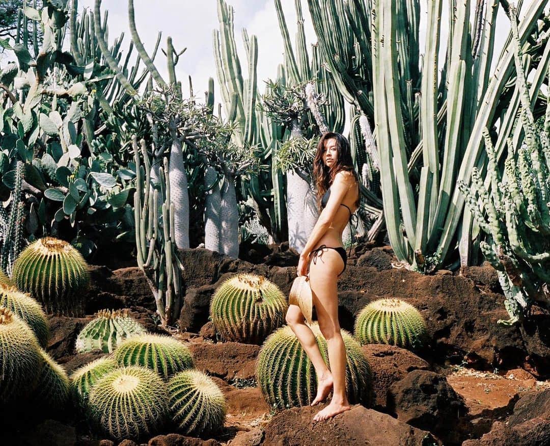 ALEXAさんのインスタグラム写真 - (ALEXAInstagram)「If you ever have a chance of taking half naked picture in a cactus park, don’t hesitate, it will be a highlight of your day🦑 photo  @masonrosephoto」8月1日 10時50分 - alexa_luczak