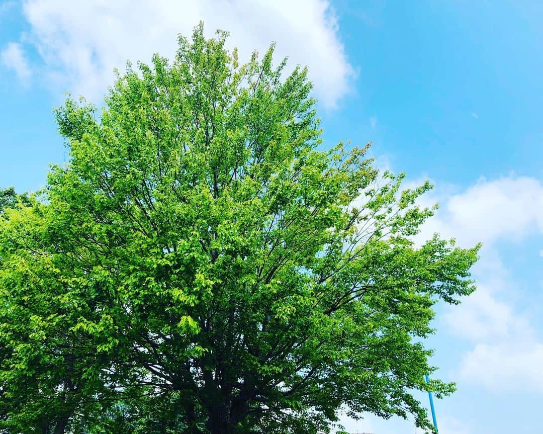 福田ゆみさんのインスタグラム写真 - (福田ゆみInstagram)「祖母のお見送りで、奈良に帰省しておりました。 いつも明るく笑顔が素敵で太陽みたいな人でした。 最後の最後まで、人としての大切な思いやりや真心を教えてくれました。 おかあちゃん、ありがとう。 本当にお疲れ様でした。 ゆっくり休んでください。  #大好きでした」8月1日 10時51分 - yumifukuda0511