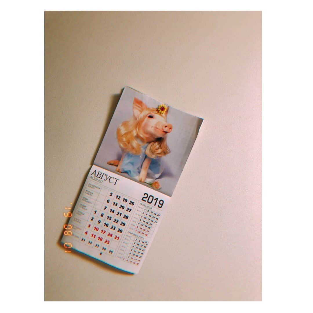 のインスタグラム：「おはよう、8月🐽♥️」