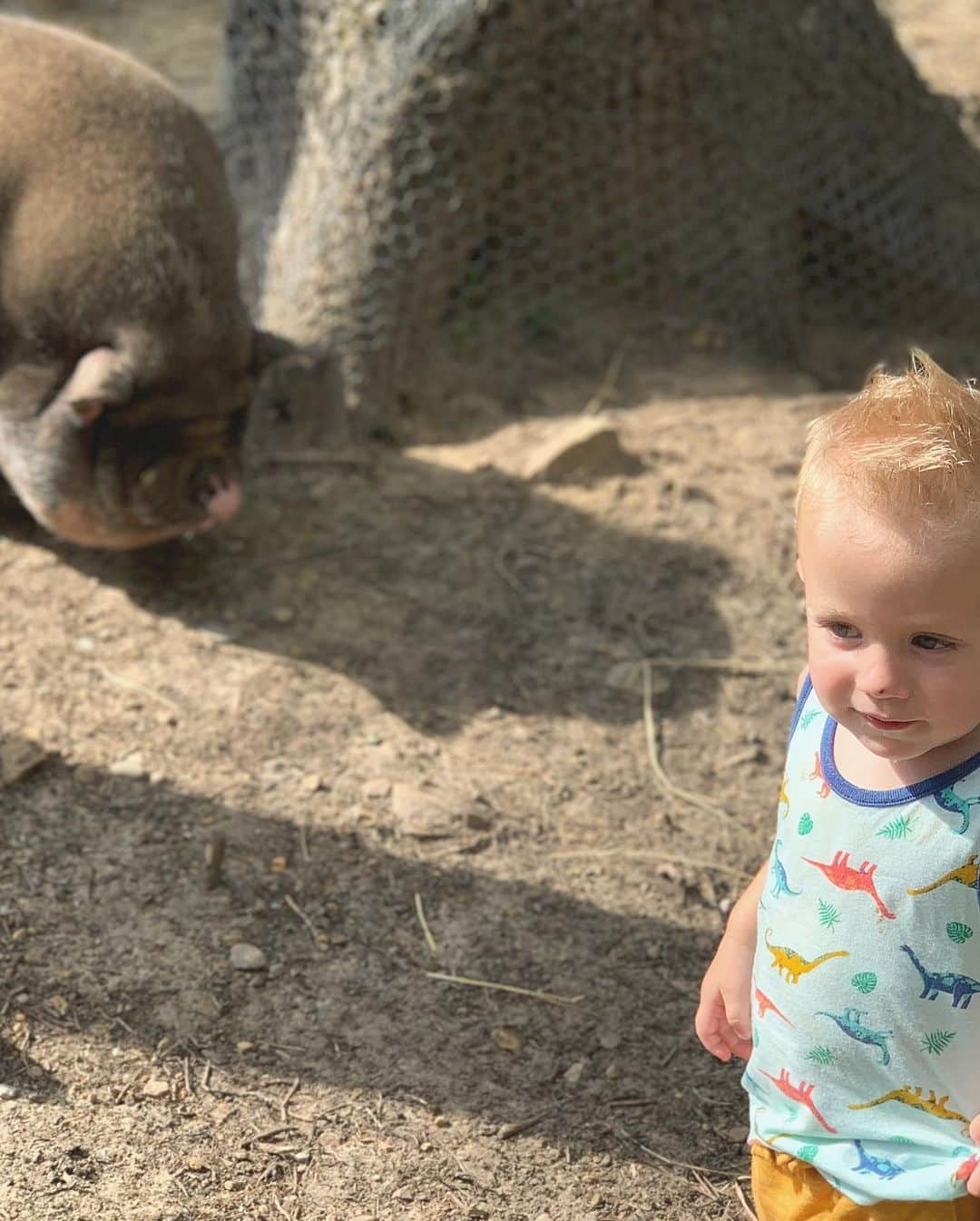 カーリー・パターソンさんのインスタグラム写真 - (カーリー・パターソンInstagram)「The adventures of Graham: four wheelers, skid steer rides, hangs with herald the pig, lunches with friends, basketball, lots of jumping on the trampoline, watching all the gymnastics & so much more! He’s going to be sad to wake up at home tomorrow😬」8月1日 11時22分 - carlypatterson04