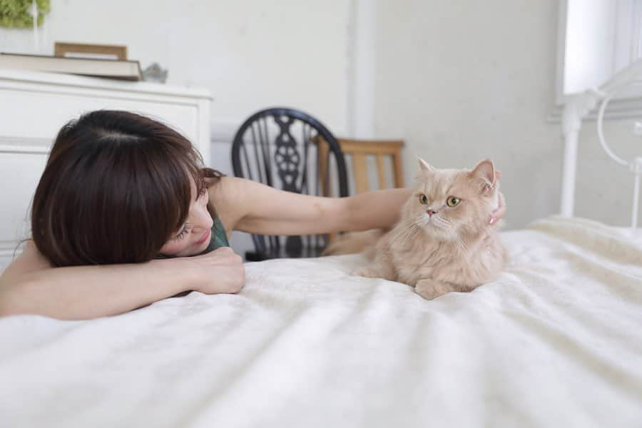 ベルさんのインスタグラム写真 - (ベルInstagram)「. 世界猫の日は、愛猫ちゃんを癒すために、飼い主さんもBEANS&ROASTERSを飲んでほっこりしませんか？ ＊＊＊＊＊＊＊＊＊ Healed with you💓癒される空間で撮影会 . . 『世界猫の日は猫を癒しましょう💗』 8月8日は世界猫の日 にゃんこが主役の日にゃ🐈 あにゃたの大切なにゃんこをいっぱい癒してにゃ きっと あにゃたも癒されるはず💓 . ベルとすずちゃん😽🐱 【BEANS & ROASTERS 世界猫の日ニャンバサダー】に 任命されましたにゃ💡 コンセプトは 〜UCCさんのラテブランド BEANS & ROASTERSが、 猫にまで癒しをお届けしたい〜 そこでにゃ 世界猫の日に先がけて UCCさん主催の限定イベント 【NEANS & ROASTERS】に参加🐾 日頃の感謝を込めて猫を癒す #ほっこりニャレンジ ではベルがお膝猫に大成功❣️ すずちゃん?? ベッドの下でまったりくつろいでたにゃ😹 みにゃさん💕世界猫の日は愛猫ちゃんのためにBEANS & ROASTERS飲んで癒されるにゃ💗 . . #ビーンズアンドロースターズ #ニャーンズアンドロースターズ #UCC コーヒー#ほっこりニャレンジ #世界猫の日 #ニャンバサダー#カフェラテ #BeansAndRoasters #worldcatday#worldcatday2019 #coffeegram#coffeetime #goodcoffeesmile #お膝猫 . #ベルちゃん #すずちゃん ・ NAME : Bell  ベルちゃん Breed : minuet  ミヌエット 🎂 : 2016.5.15  3歳 ・ NAME : Suzu すずちゃん Breed : Scottish fold スコティッシュフォールド 🎂 : 2018.3.21  1歳」8月1日 12時00分 - ricorico_rico