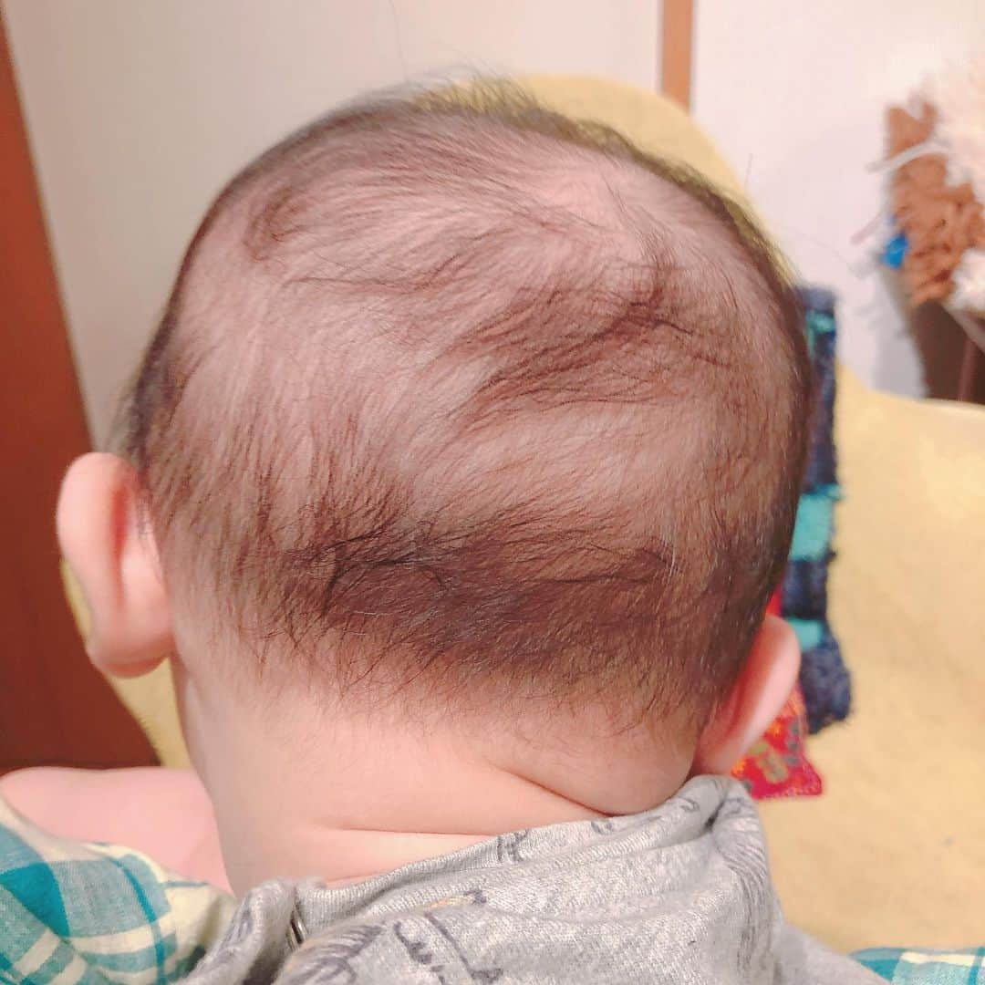 Boojilさんのインスタグラム写真 - (BoojilInstagram)「縞柄のヘアスタイル。 生後4カ月。体重7.5キロ。  すでに寝返りを打ち始めた。成長が早すぎてビックリする。  わりとフルで仕事を再開しているので、まだじっくりのんびり赤ちゃん育児を味わえていない。  これがわたしにとって最後の赤ちゃん育児になるかもしれない。と、思うと毎日なにかしらの瞬間に、ふとセンチメンタルになる。  #子育て #赤ちゃん #後頭部 #生後4カ月 #赤ちゃんのいる生活」8月1日 23時28分 - boojil