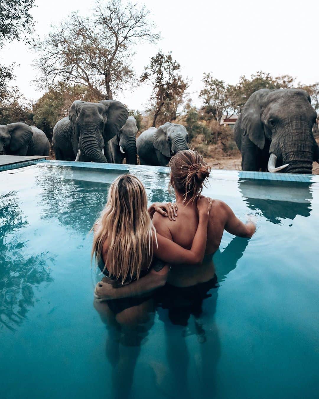 Kapten & Sonさんのインスタグラム写真 - (Kapten & SonInstagram)「#travelthursday - welcome to South Africa! 🐘 South Africa is easily becoming one of the most popular places to travel on the continent! Our must-do's in South Africa: Explore Cape Town and the Cape Peninsula, drive through Karoo to Knysna, travel to Kruger National Park for 3 days of safari and discover the Blyde River Canyon to Johannesburg! ✨ @mariefeandjakesnow had the most incredible experience in South Africa! 🌊🐘 #bekapten #kaptenandson⁠ .⁠ .⁠ .⁠ #travelling #travelgram #traveladdicted #travellovers #passportpassion #southafrica #safari #africa #wanderlust #meetsouthafrica」8月1日 22時00分 - kaptenandson