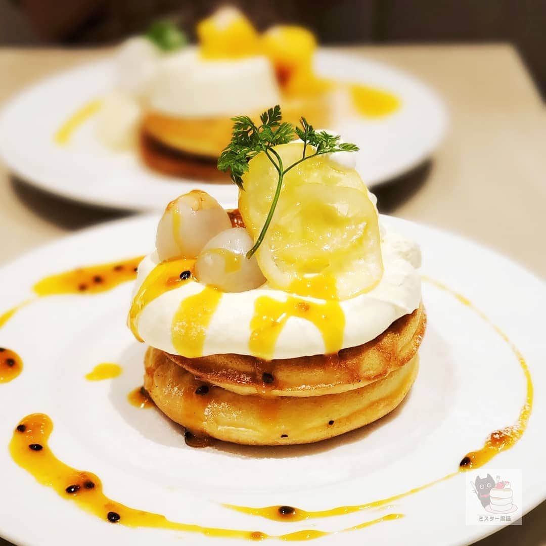 ミスター黒猫（黒猫仙人）のグルメインスタ