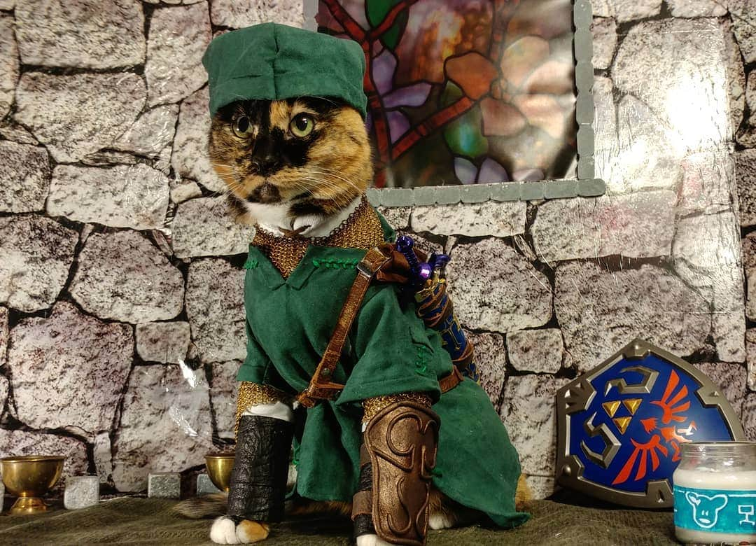 猫コスプレさんのインスタグラム写真 - (猫コスプレInstagram)「It's not hard to tell who knocked the pot off the table.  #LegendofZelda #link . . . . . . . #catcosplay #catcostume #catsinclothes #petclothes #petcostumes #loz #lozcosplay #linkcosplay #legendofzeldacosplay #videogames #videogamecosplay #nintendo #cat」8月1日 23時18分 - cat_cosplay