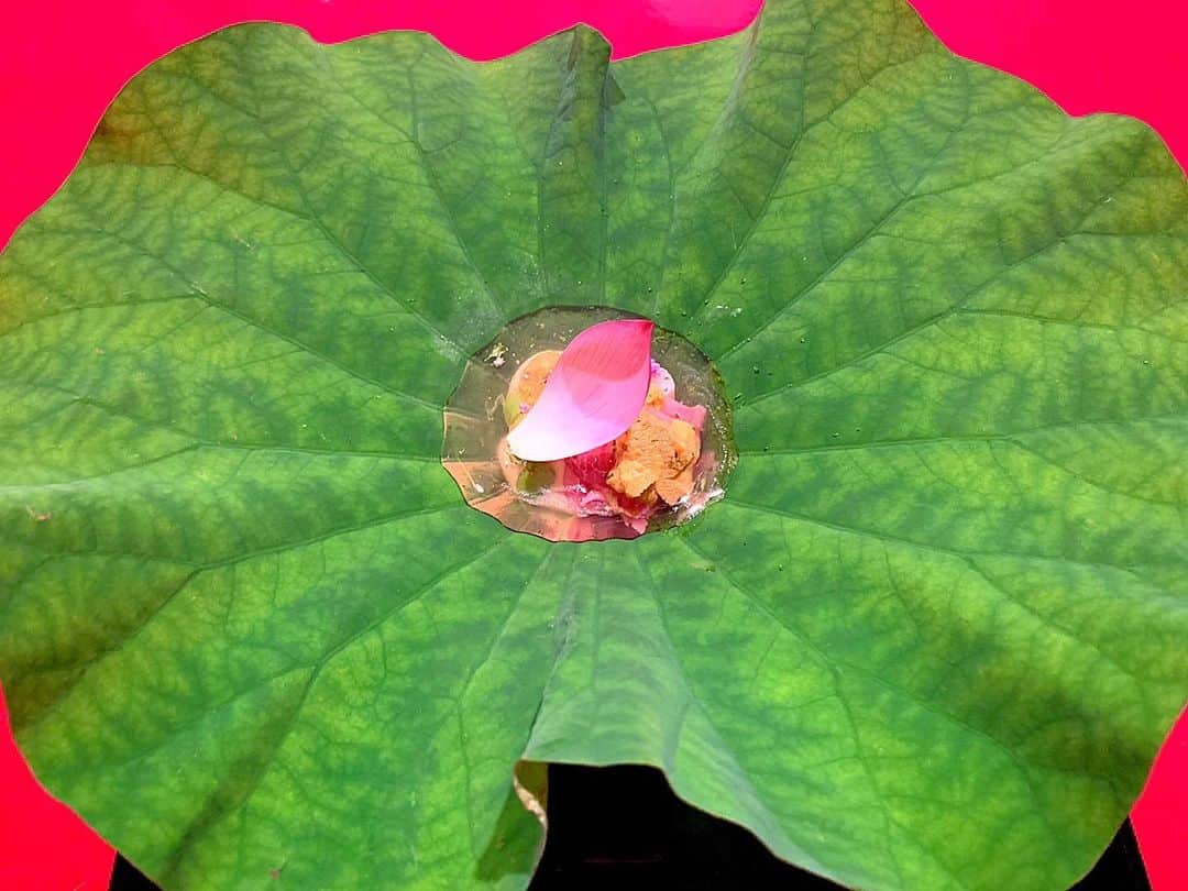 百合華のグルメインスタ