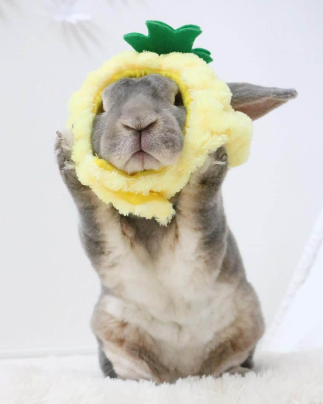 Kayoのインスタグラム：「🍍今日はパインの日🍍 ・ ・ 東村のゴールドバレル🍍に どハマりしてるワタシ達♡ さーくの泡ぶくがおいしいシルシ♡」