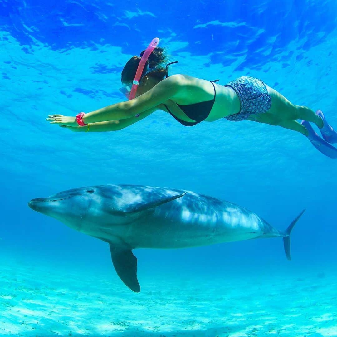 【公式】ルネッサンスリゾートオキナワのグルメインスタ