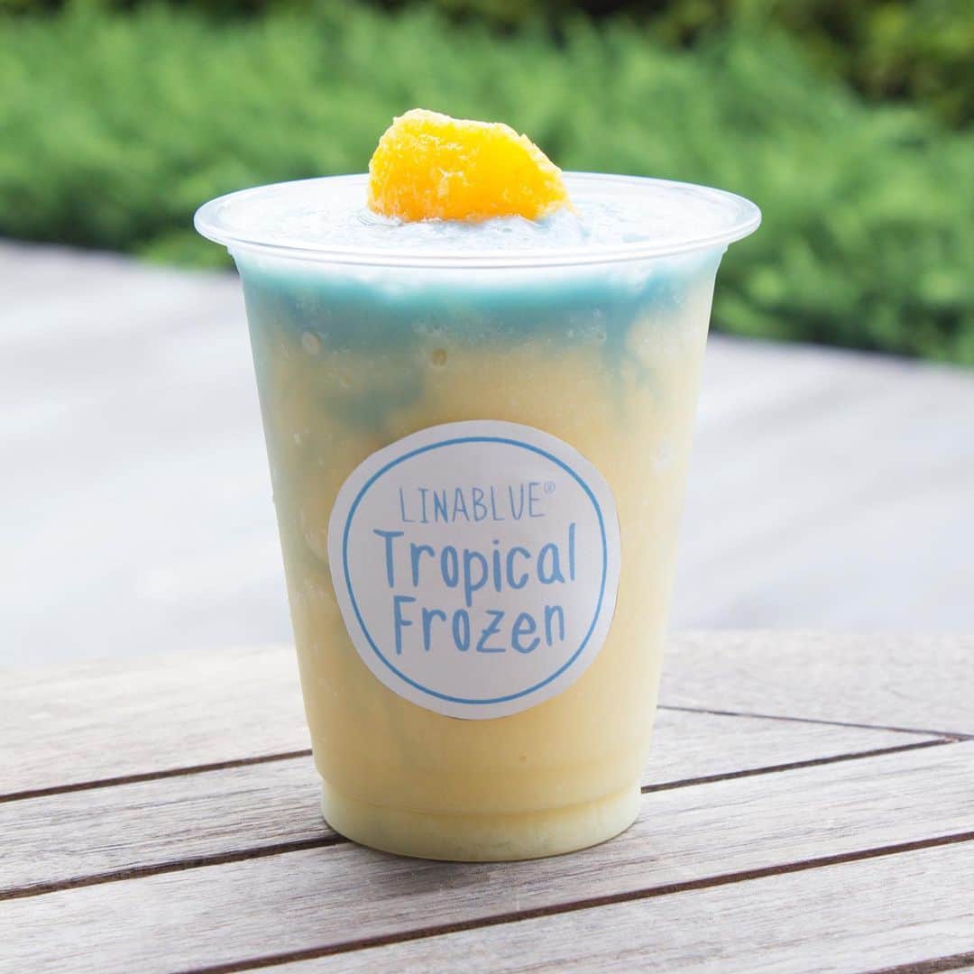 のインスタグラム：「今日から8月！ 夏本番ですね😆🏝🌈🏝🌈 . .  会社内のカフェで 植物スピルリナ由来の青リナブルー®を使った 「リナブルー®のトロピカルふろ～ずん」を 販売しています！  南国の海と太陽とイメージした オレンジ味🍊のさっぱりした ひえひえのフローズンドリンク🌊☀️🌴 . 暑さが増す、これからの時期にピッタリなドリンク♪ . .  ブルーとイエローを混ぜると、南国の海のような、キレイなエメラルドブルーになりますよ🌊💚💙🌊 . ぜひお試しくださいね！ . . #リナブルー #スピルリナ #dicスピルリナ #linablue #ひえひえスイーツ #フローズンドリンク #夏のドリンク #ひえひえメニュー」
