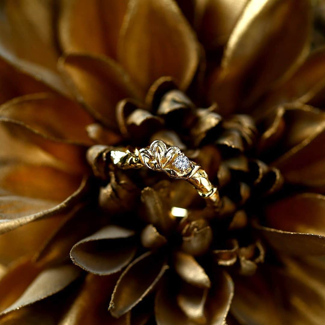 ブラッディマリーさんのインスタグラム写真 - (ブラッディマリーInstagram)「Ring : k18 Nue S  w/diamond ・ ・ ・ #BloodyMaryjewelry #BloodyMary #jewelry #bridal #bridaljewelry #marriagering #weddingring #jewelryporn #jewelrydesign #jewelrygram #accessory #accessories #silverjewelry #ブラッディマリー #fashionjewelry #アクセサリー #ring #指輪 #結婚指輪 #マリッジリング #Diamond #Gold #whitegold #Plutinum #diamonds #diamondjewelry」8月1日 17時53分 - bloody_mary_official