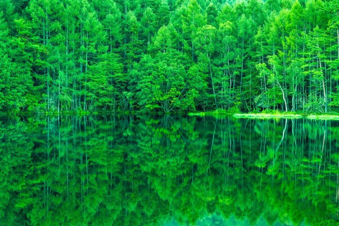 楽天トラベル さんのインスタグラム写真 - (楽天トラベル Instagram)「. #長野県 #御射鹿池 TVやCMでも有名な「みしゃかいけ」 四季折々の木々の様子が湖に美しく映ります✨ 東山魁夷の絵画『緑響く』のモチーフとしても有名です。 . ************************ 旅先で撮った素敵な写真に @rakutentravel をタグ付けしてシェアしてね♪ 厳選してこのアカウントで紹介させていただきます！ ************************ . #楽天トラベル #旅 #旅行 #旅に出よう #旅行好きな人と繋がりたい #日本 #일본 #rakutentravel #travel #trip #japan #instagramjapan #IG_JAPAN #japantrip #lovetraveling #nagano」8月1日 18時00分 - rakutentravel