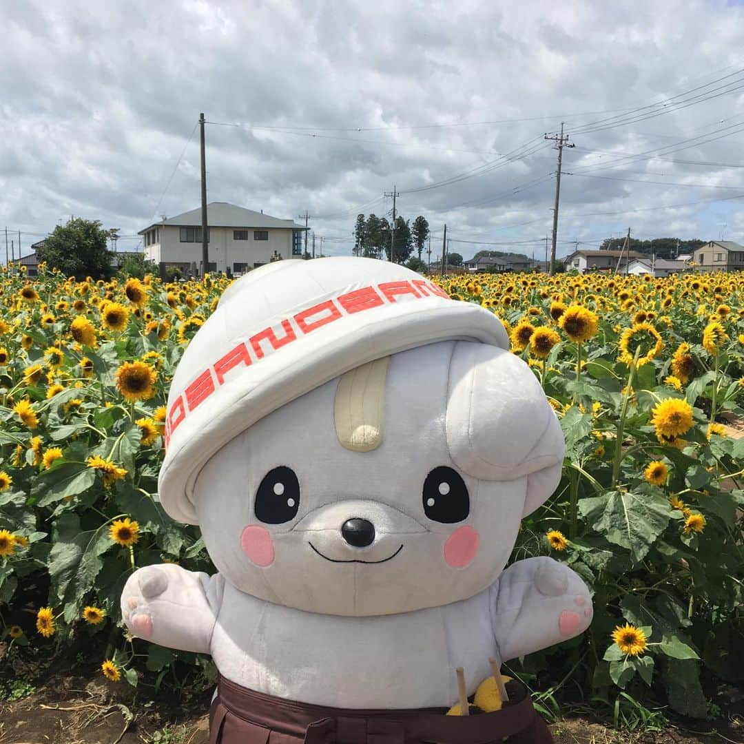 さのまるのインスタグラム