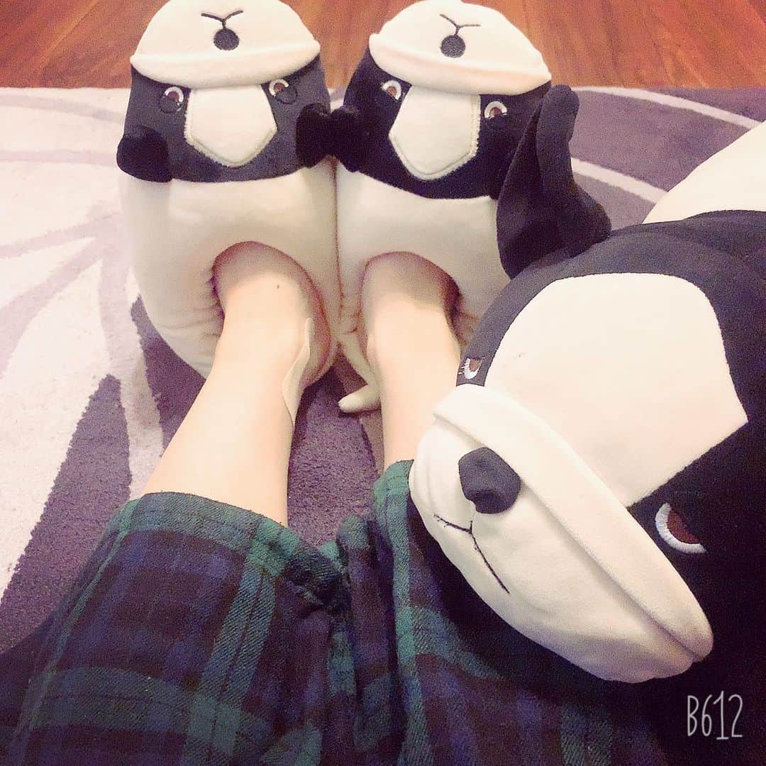知念紗耶のインスタグラム：「毎日バタバタだけど家ではのんびり😪 一回落ち着いたらしばらく動けない笑 #のんびり #もふもふ #休息」