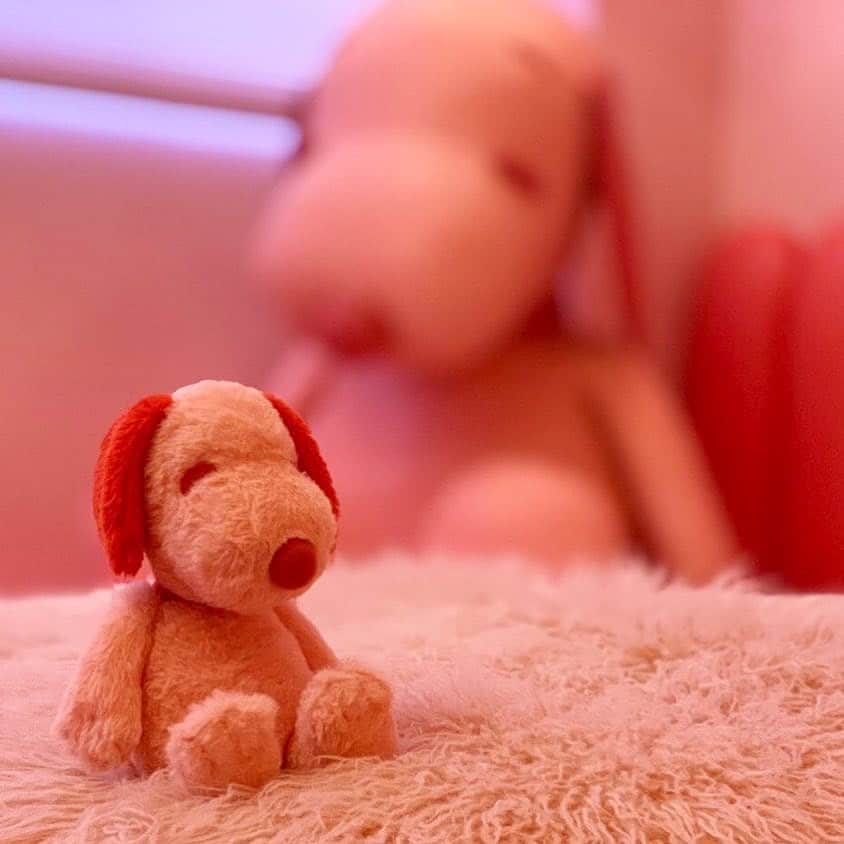 ピーナッツ カフェのグルメインスタ