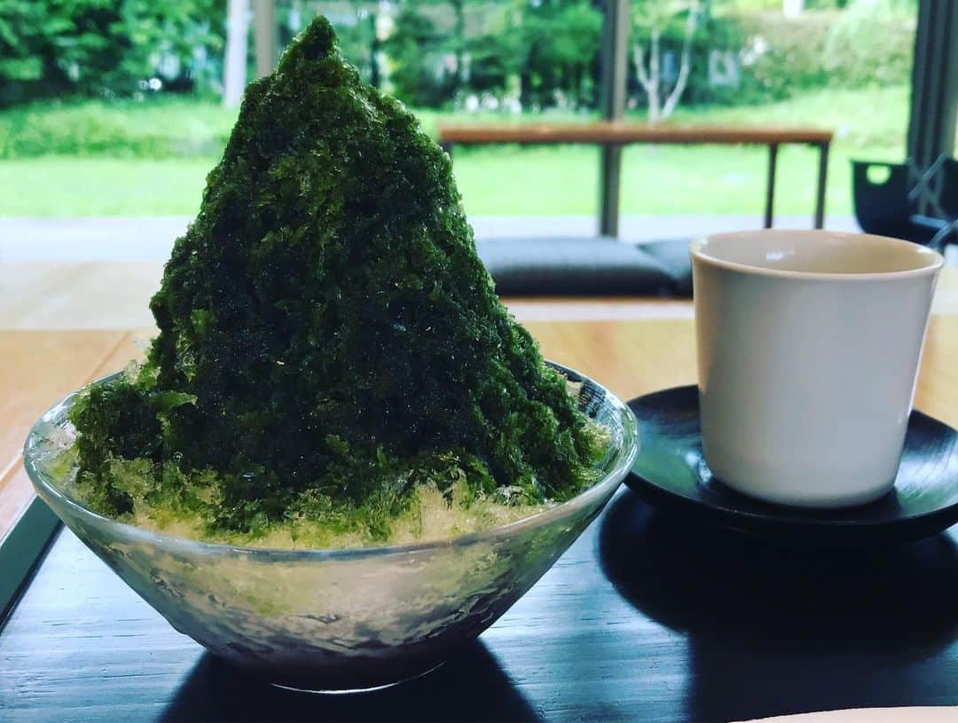 平子理沙さんのインスタグラム写真 - (平子理沙Instagram)「自然は最高だ〜〜👍🌳‼️ かき氷も最高だ〜🍧💕 #箱根#beauty #lifestyle #travel #fashion #risahirako #平子理沙」8月1日 18時46分 - risa_hirako