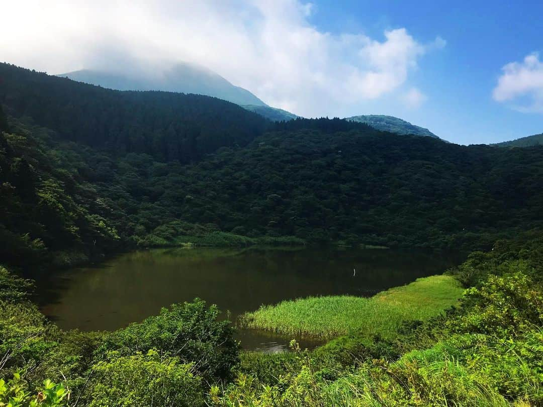 平子理沙さんのインスタグラム写真 - (平子理沙Instagram)「自然は最高だ〜〜👍🌳‼️ かき氷も最高だ〜🍧💕 #箱根#beauty #lifestyle #travel #fashion #risahirako #平子理沙」8月1日 18時46分 - risa_hirako