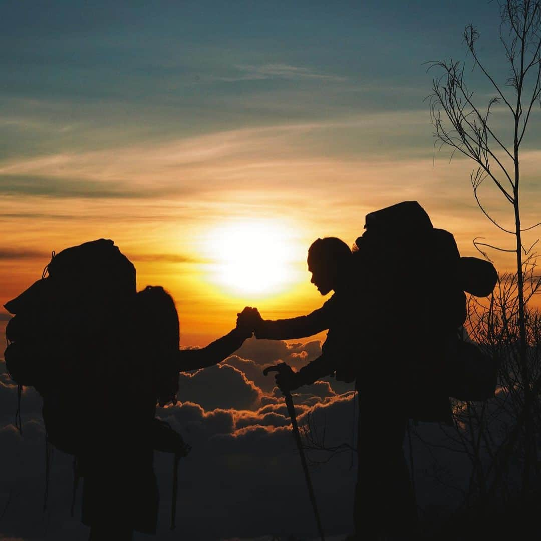 pomeloさんのインスタグラム写真 - (pomeloInstagram)「Pomelo Cover | If you love outdoors as much as we do, this Indonesia-based photographer is worth to follow. From lake to peaks, you won’t be disappointed by the adventurer @andilalang_ he will take you on in his feed.  Swipe left to see more about his hiking trip.  #pomelocamera #pomeloapp #photographer #hiking #photography #wild #nature #exercise #flower #moutain #pomelocam #outdoor」8月1日 19時01分 - pomelocam