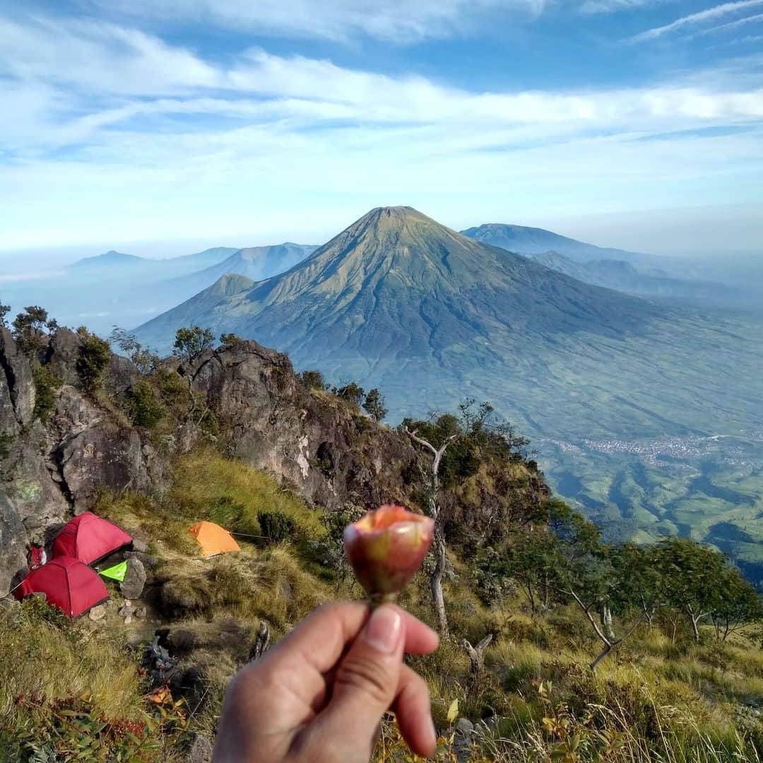 pomeloさんのインスタグラム写真 - (pomeloInstagram)「Pomelo Cover | If you love outdoors as much as we do, this Indonesia-based photographer is worth to follow. From lake to peaks, you won’t be disappointed by the adventurer @andilalang_ he will take you on in his feed.  Swipe left to see more about his hiking trip.  #pomelocamera #pomeloapp #photographer #hiking #photography #wild #nature #exercise #flower #moutain #pomelocam #outdoor」8月1日 19時01分 - pomelocam