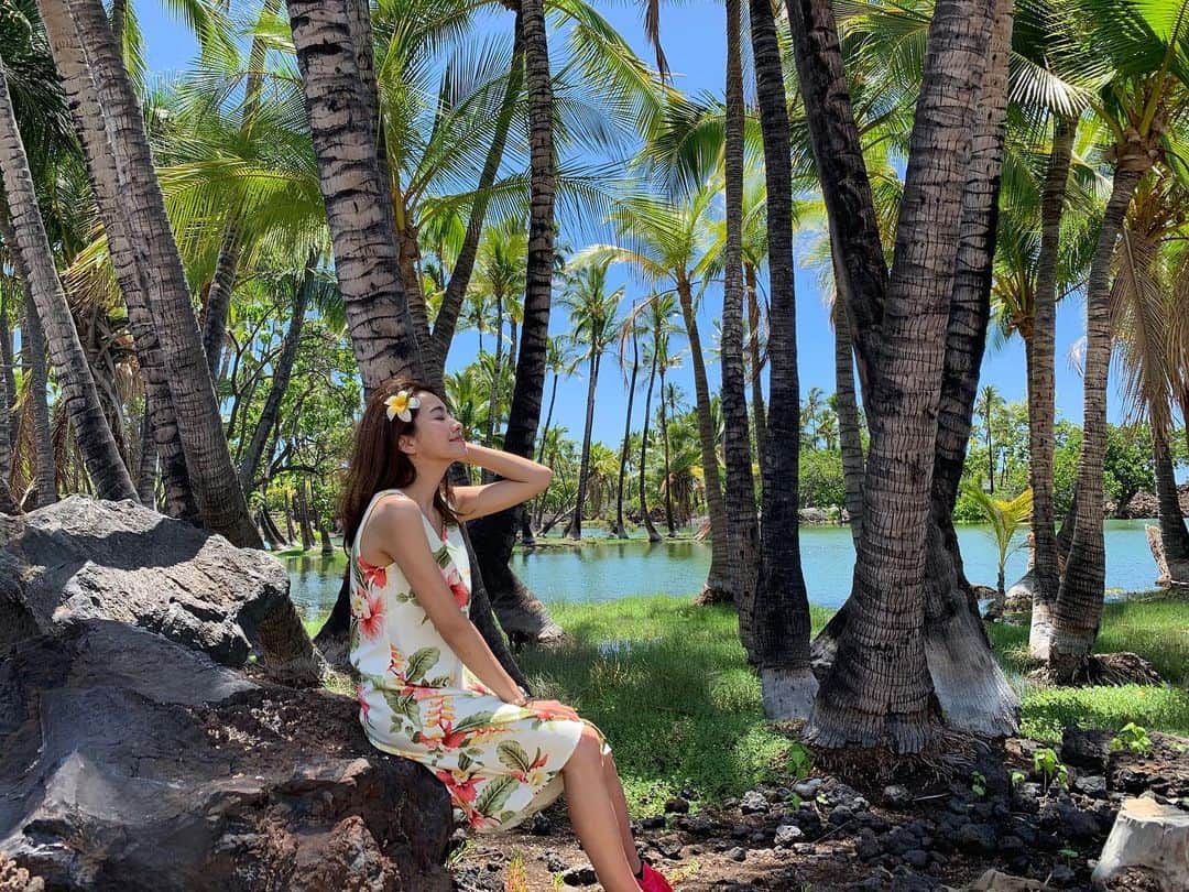 曽田茉莉江さんのインスタグラム写真 - (曽田茉莉江Instagram)「ハワイの写真はもうこれで最後にしないとっ🤣最後は、もしハワイ島に行かれる機会があれば、必ず行って頂きたい場所をご紹介しますね🐬  世界三大パワースポットっといわれてる、マウナラニ🌴🌺 奥にあるフィッシュポンド🐠は本当にここの空間だけ時間の流れが違うような感じで、妖精さんがいるかもしれないっとおとぎ話のようなことも考えちゃう、とても神聖な場所でした🧚‍♂️ そして、最後の写真はオーラの洞窟です😳見るだけでとっても神秘的🤣こんな写真が撮れるとは…🤭こちらも本当に感動しましたよ！  本当にマウナラニは世界三大パワースポットっと言われてるだけあって、とってもとってもすごかったです🥺私はすっかりハワイ島の虜になってしまいました🤤❤️ また行けることを夢に…頑張りますっ🧚‍♂️✨ #ハワイ#hawaii #ハワイ島 #bigisland #マウナラニ#パワースポット巡り#フィッシュポンド #オーラの洞窟 #妖精」8月1日 19時23分 - marie_soda_