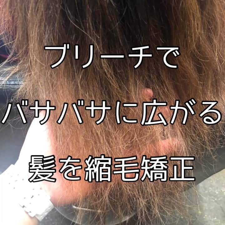 チダヨシヒロのインスタグラム：「過度なブリーチダメージがあっても縮毛矯正はかけられる・・・？？﻿ かなりリスクはありますが、﻿ 縮毛矯正をかけることは可能です✨﻿ 髪を綺麗にしたい方、ご相談くださいませ😊﻿ ﻿ 【こんなお悩みをお持ちの方はぜひご連絡ください😊】﻿ ✂︎髪をキレイに改善していきたい✨﻿ ✂︎『髪の毛キレイだね』って褒められたい✨﻿ ✂︎美容室でトリートメントをしても、いつもすぐ落ちてしまう😭﻿ ✂︎ものすごくキレイな縮毛矯正をしてみたい✨ ﻿ ✂︎アホ毛・毛羽立ちを抑えたい😭﻿ ✂︎ツヤのある髪にしたい✨﻿ ✂︎ダメージが気になる😭﻿ ﻿ なんでもご相談ください⭐️﻿ ﻿ インスタグラムを見て髪質改善や美髪縮毛矯正で ご来店される方が都外からもかなり増えてきております😊 気になる方はこちらの僕の美髪シリーズもご覧下さい✨﻿ ↓↓↓ 『 #チダヨシヒロの髪質美人 』 ﻿ ﻿ 【予約空き状況】﻿ 【8月の予約状況】﻿ 8/2 17:00 満席﻿ 8/3 10:00﻿ 8/4 満席﻿ 8/7 10:00 14:00﻿ 8/8 12:00﻿ 8/9 14:00﻿ 8/10 12:00 カットのみorカラーのみ﻿ 8/11 13:00 カットのみorカラーのみ﻿ 8/12〜16夏休み﻿ 8/17 12:00 カットのみorカラーのみ﻿ 8/18 10:00 16:00﻿ 8/21 15:30﻿ 8/22 15:30﻿ 8/23 10:00﻿ 8/24 16:00﻿ 8/25 17:00﻿ 8/28 10:00以降﻿ 8/29 10:00以降﻿ 8/30 10:00以降﻿ ﻿ ご予約・ご相談はトップURLにあるLINE@からかDM、またはネット予約よりご連絡くださいね✨﻿ ﻿ 【オンラインカウンセリング実地中】﻿ 無料でオンラインカウンセリングを実施しておりますので髪のお悩みやご相談などがありましたらDMまたプロフィールURLからのLINE@より24時間365日受付ております😆﻿ ﻿ 髪にお悩みの方を1人でも多く綺麗になって欲しいという僕の気持ちの表れです🙇﻿ ﻿ 【メニュー】﻿ カット¥7000 髪質改善002¥10000（カラー・縮毛矯正・パーマと併用すれば¥5000） 美髪カラー¥7000〜 美髪縮毛矯正¥20000〜﻿ カットをされない方はシャンプー・ブロー代¥3000頂きます🙇﻿ メニューも沢山ご用意ありますので、料金と合わせて、プロフィールのURLからご確認ください😊﻿ ﻿ 完全予約マンツーマン制のヘアサロン﻿ 【メルリヘアリビング】﻿ 📮東京都世田谷区用賀3-6-15細井ビル1F﻿ ﻿ ﻿ #縮毛矯正﻿ #髪質改善トリートメント﻿ #縮毛矯正失敗﻿ #自然な縮毛矯正﻿ #縮毛矯正ボブ﻿ #髪質改善ストレート﻿ #髪質改善縮毛矯正﻿ #髪質改善カラー﻿ #縮毛矯正東京﻿ #ブリーチ縮毛矯正﻿ #美髪になりたい﻿ #キレイな髪﻿ #綺麗な髪﻿ #髪の毛サラサラ﻿ #髪をきれいにする美容室﻿ #髪質改善﻿ #ヘアケア﻿ #ブリーチ﻿ #毛髪改善﻿ #ダメージ改善﻿ #縮毛矯正上手い﻿ #枝毛﻿ #切れ毛﻿ #アホ毛﻿ #ヘアケア美容師﻿ #扱いやすい髪﻿ #髪の悩み﻿ #髪を綺麗にしたい﻿ #ビビり毛修繕」