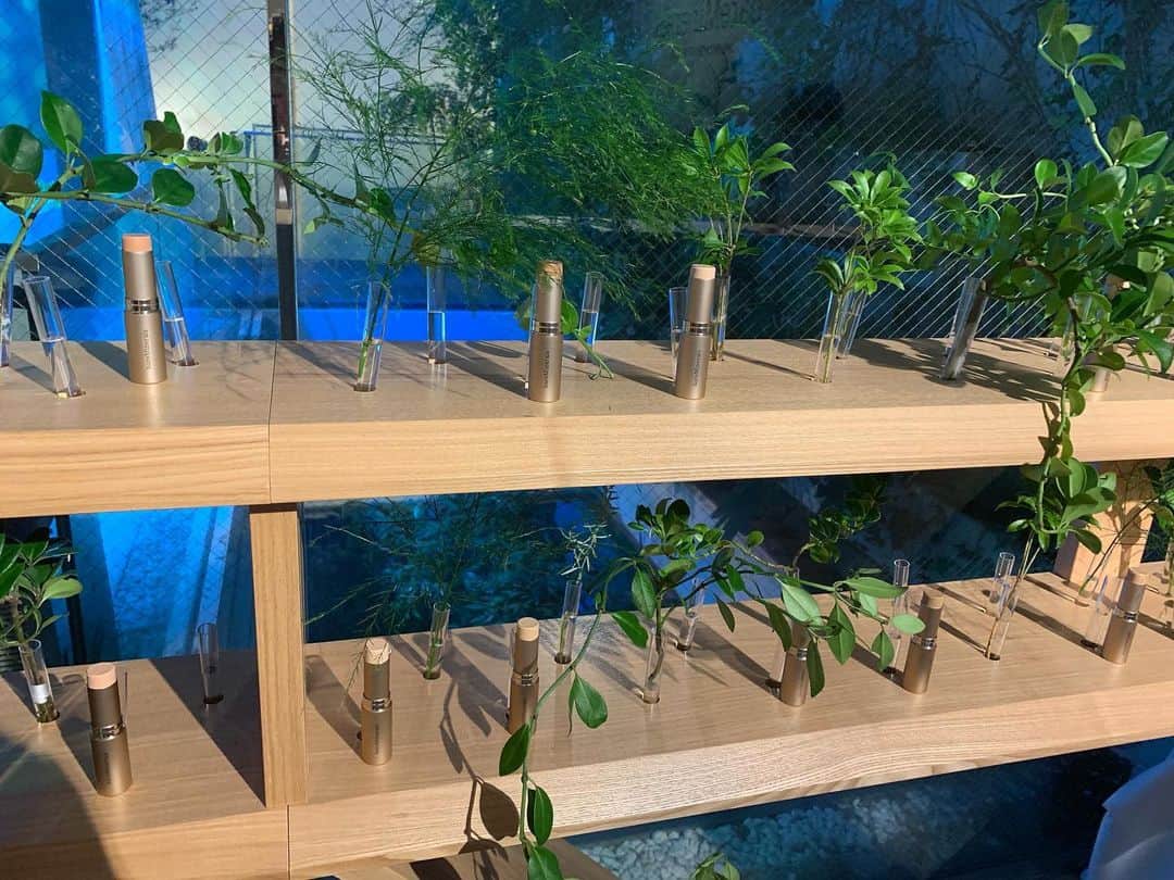 satomiのグルメインスタ